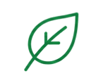 Future-Focused Growth
